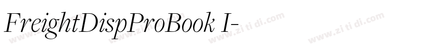 FreightDispProBook I字体转换